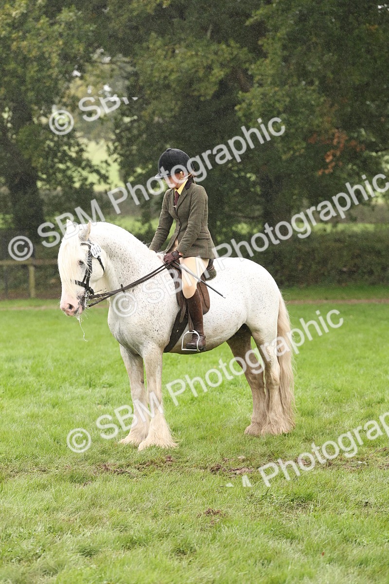 SBM_72754 - S70 - Traditional Cob Ridden