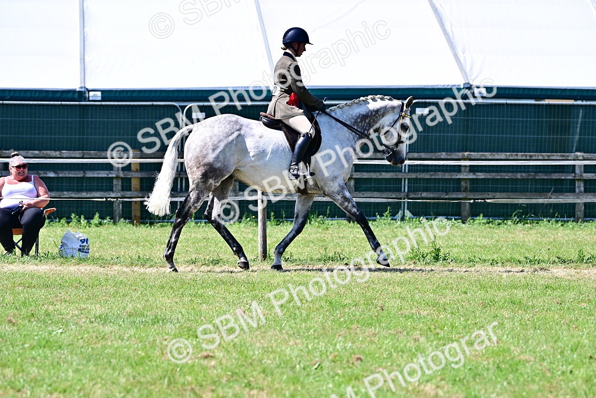 SBM_18262 - Class 99-100 - Retraining of Racehorses Ridden