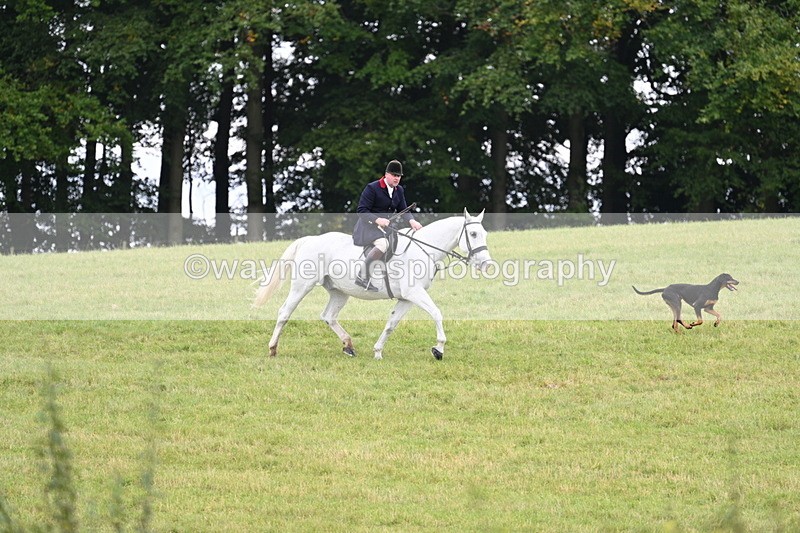 WJ7_4027 - Camera 1 Line 2