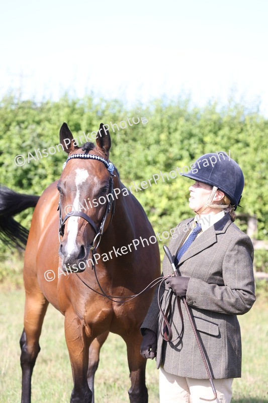 20260906-0702 - Class 22 - Ex Racehorse