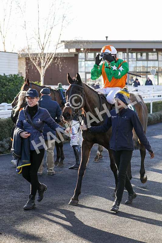 120224-Race 3-Tap N Go Leo-7528 - Race 3