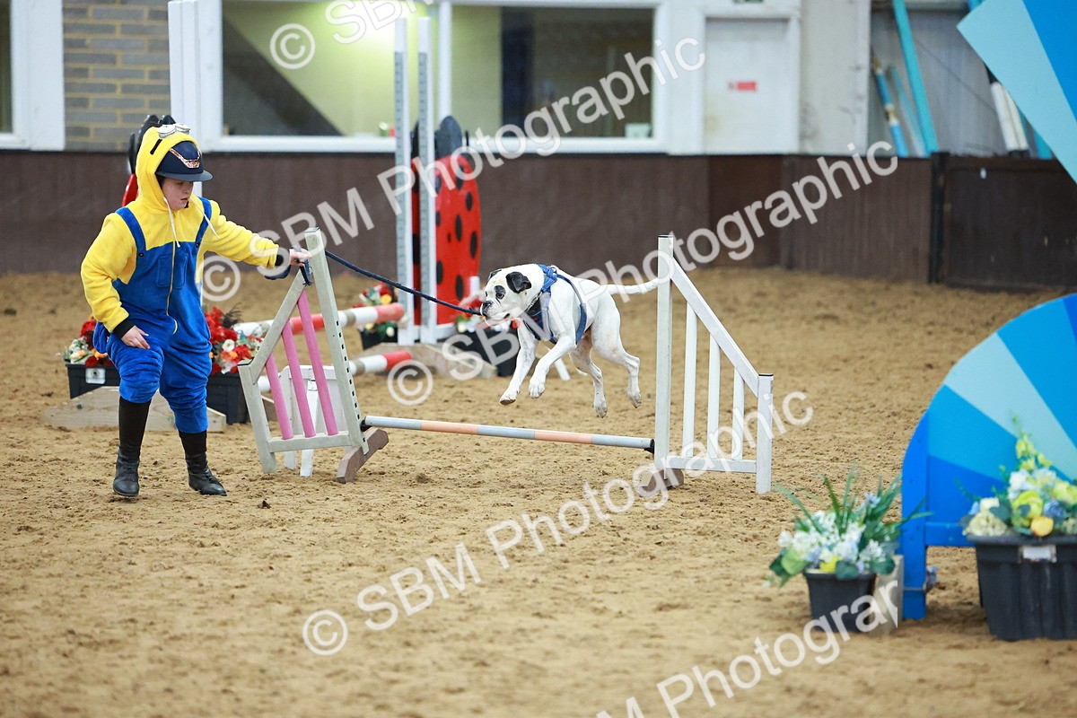 SBM_002271 - Class 3 - Horse & Hound (60cm)