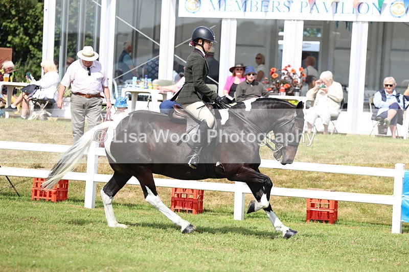 3E7A9713 - Class 5: Rising Star Lightweight/Heavyweight Cobs