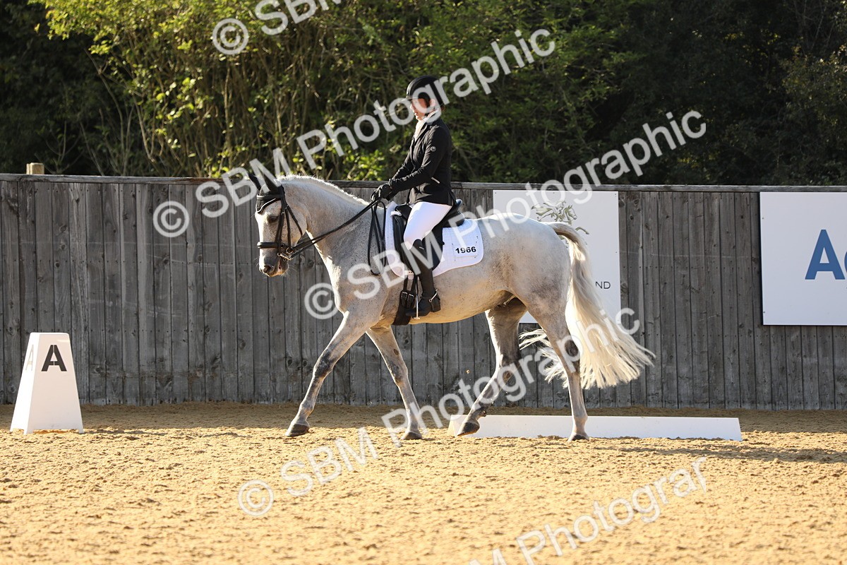 SBM_28616 - D20 - Grand Tour Championship - Elementary 44