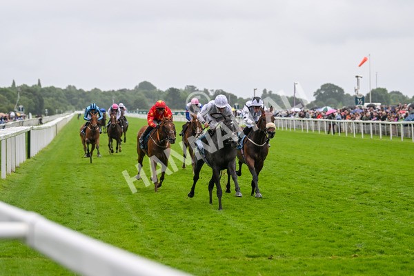 130724-Race 4-Alsakib-7471 - Race 4 3.45pm John Smith's Silver Cup Stakes