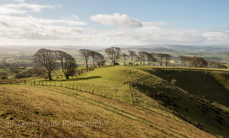 Linley Hill - Stiperstones