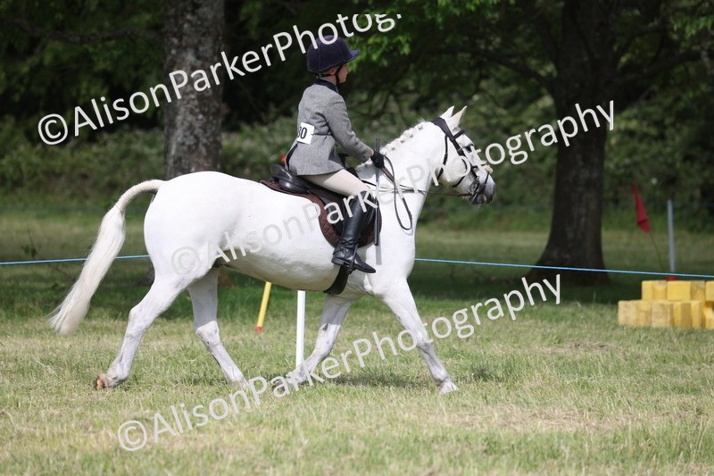 20260614-0553 - Class 20 - Beginners Working Hunter Pony