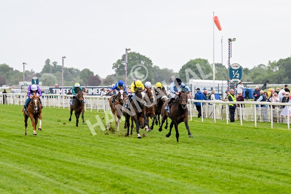 150525-Merchant-5296 - Race 7 5.25pm Haxby Handicap