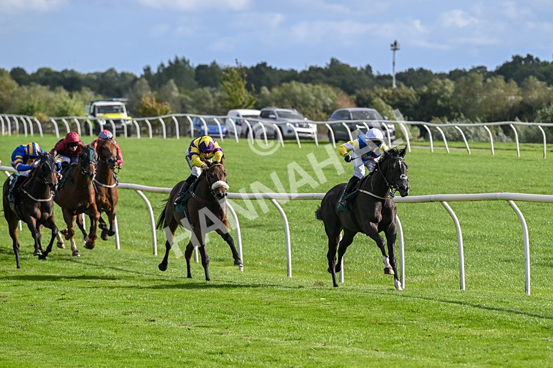 080926-Race 5-Lope Y Linda-2687 - Race 5 4.11pm Every Race Live On Racing TV Handicap