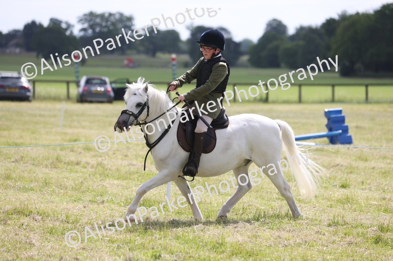 20260614-0732 - Class 20 - Beginners Working Hunter Pony
