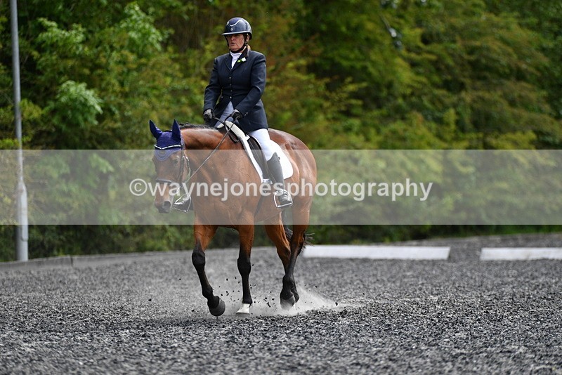 WJ5_1645 - Time 14:20 to 15:01