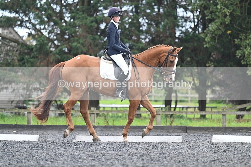 WJ7_6706 - Time 14:49 to 15:14