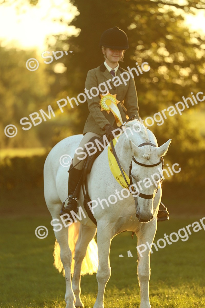 SBM_56650 - Fun & Versatile Supreme Championship