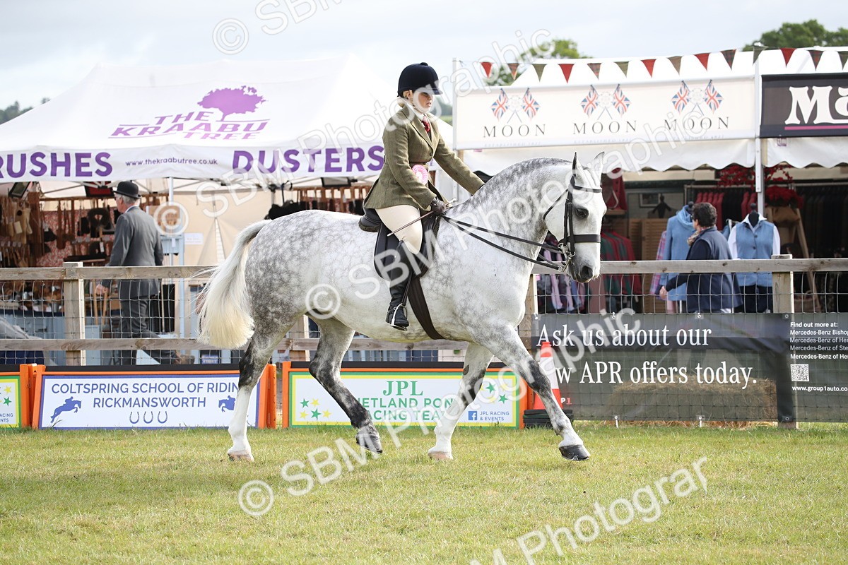 SBM_11183 - Class 92-93 - LIHS BSHA Rising Star Cobs