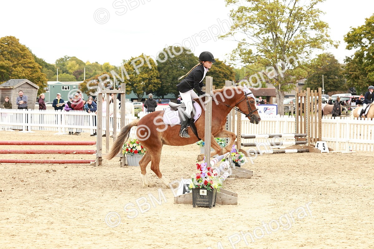 SBM_63782 - J12 - Junior Pony 55cm Championship