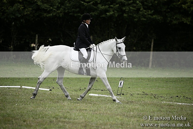 BVR080918 259 - BVRC Novice Dressage & CR 08/09/18