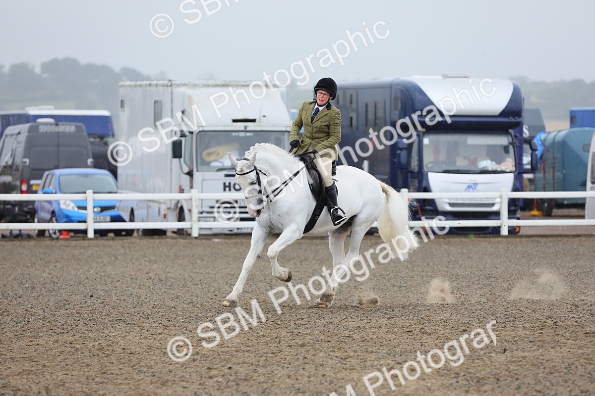 SBM_20329 - Class 803 - Ridden Combination 65+