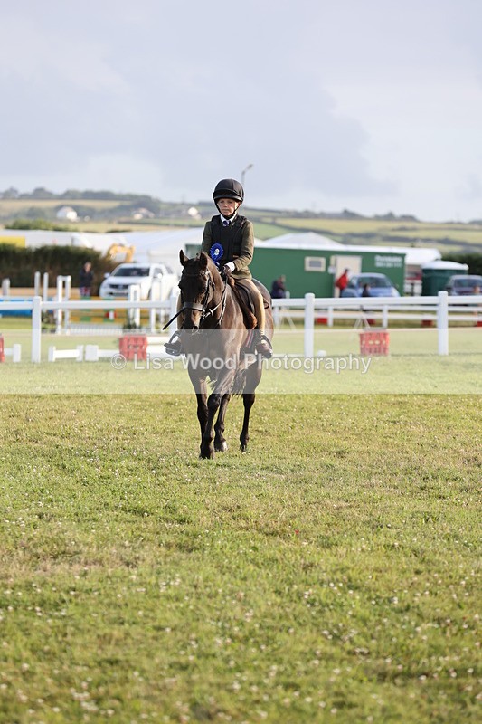 JPP_3748 - Working Hunter Championship
