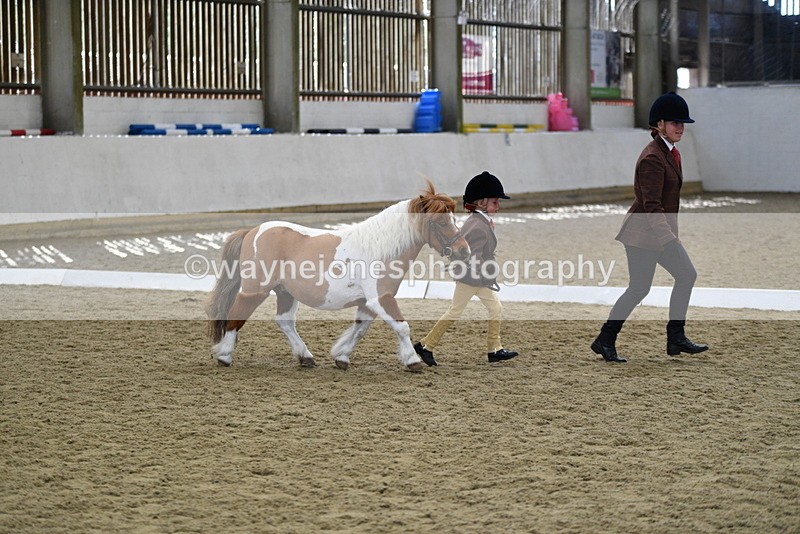 WJ5_4914 - Class 7 In hand coloured / odd coloured