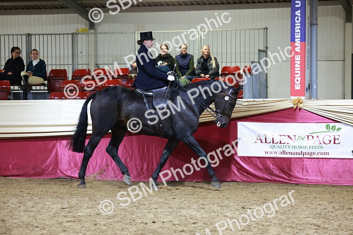 SBM_20943 - Class N - Side Saddle Champ