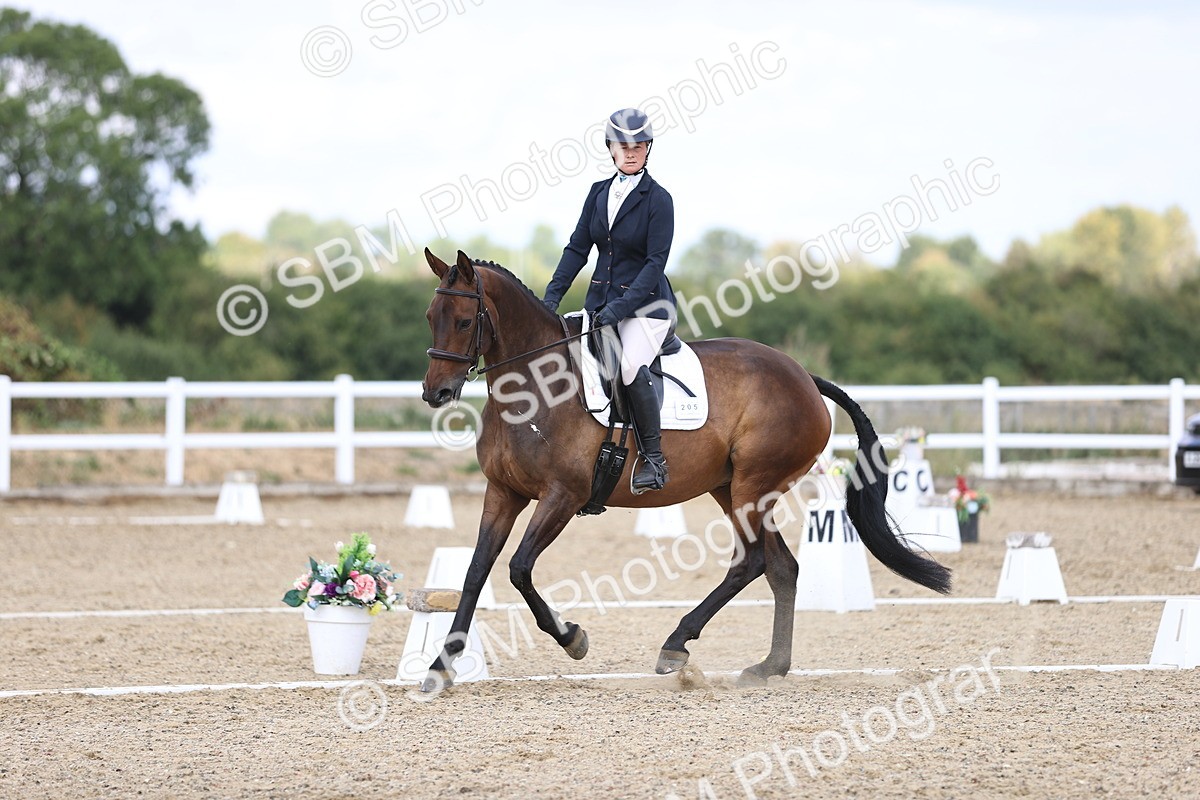 SBM_015380 - Class 5 - E5 Bronze 14.42.15.54