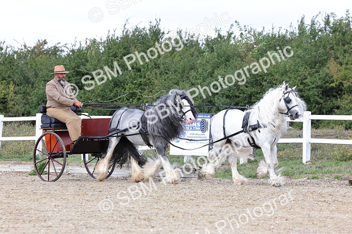 SBM_001146 - Class 16 - Pairs ,Multiples and Tandems