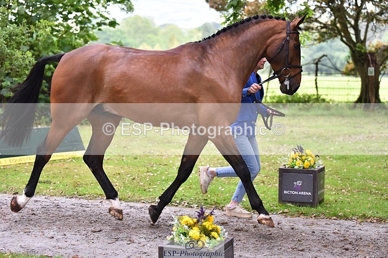 240522-172324-01571 - 278-DSH_MR_D-Caroline_Harris