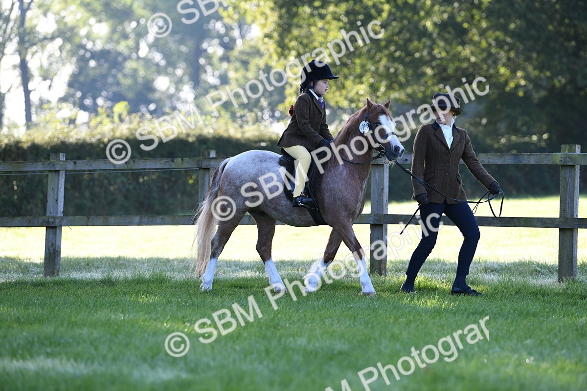 SBM_35322 - S17 - Condition & Turnout - Lead Rein