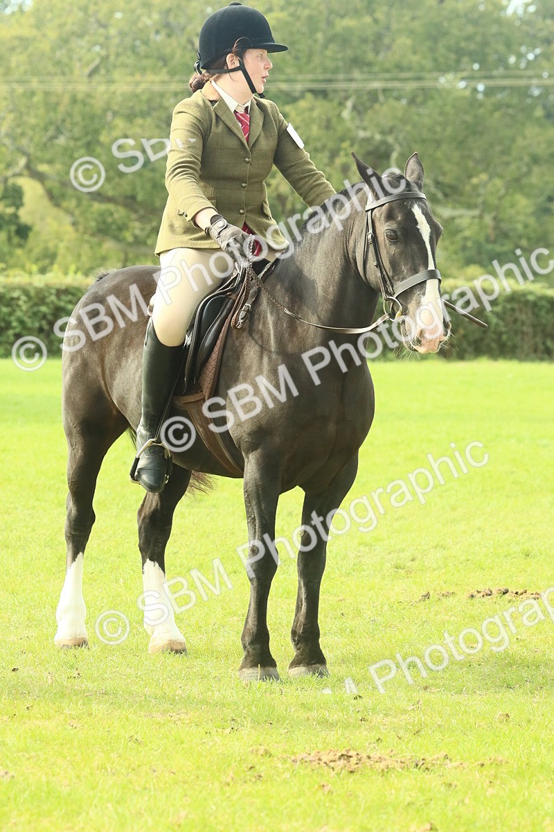 SBM_69372 - S58 - Mini Show Cob Ridden