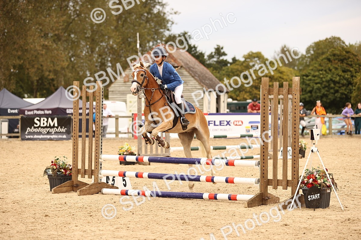 SBM_72606 - J14 - Junior Pony 65cm Championship