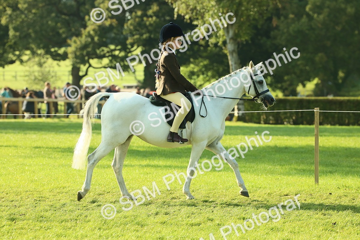 SBM_59132 - S38 - Starters Ridden Showing