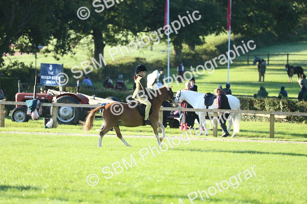 SBM_31818 - S28 - Nursery Stakes Working Hunter Pony