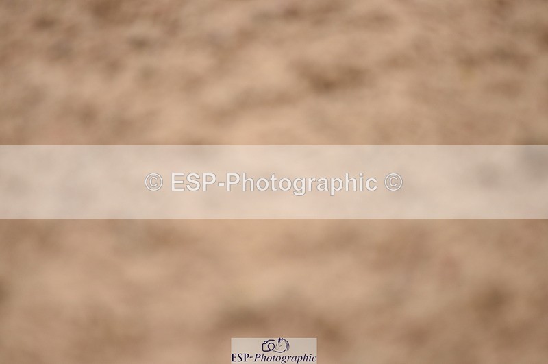 230628A-152126-00905 - Cls 5 Foxhunter & 1.20m Open