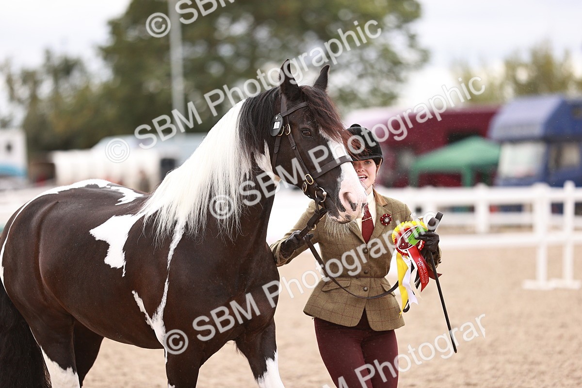 SBM_18524 - Class 420 - Ridden M&M