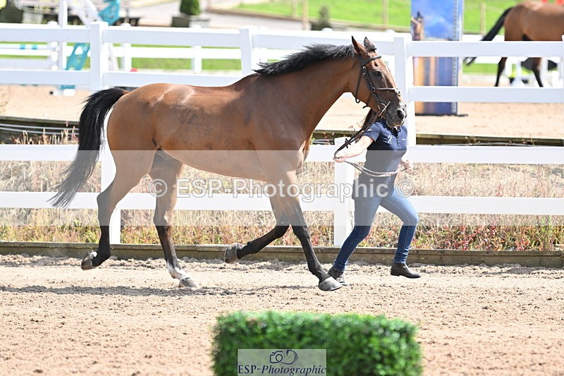 240717A-152006-02758 - Trot Up 3pm to 4pm