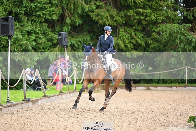 240526-155129-25133 - 214-DSH_GOLDEN_EYE-Lucinda_Mesquita