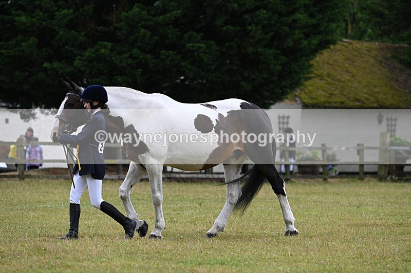 WJ7_6439 - Class 4a Prettiest Mare over 14hh