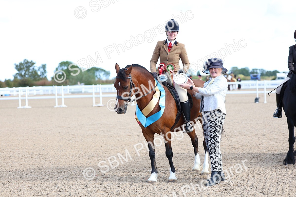 SBM_08961 - Class 302 - Ridden M&M - Large Breeds