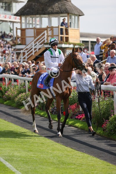 yr18082021r3-30 - Race 3 3.00pm Sky Bet Great Voltigeur Stakes