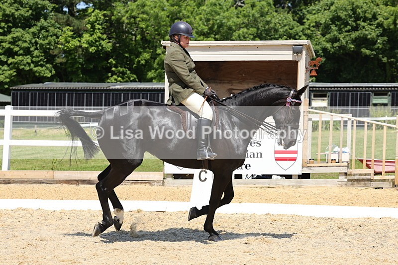 1X9A1859 - Class 12: Ridden Riding Horse/Hack