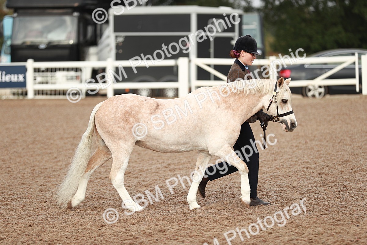 SBM_09493 - Class 201 Best Turned Out IH