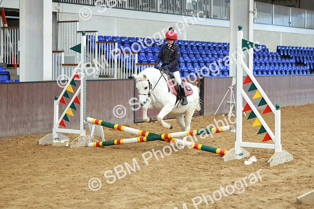 SBM_005529 - Class 2 - 50cm