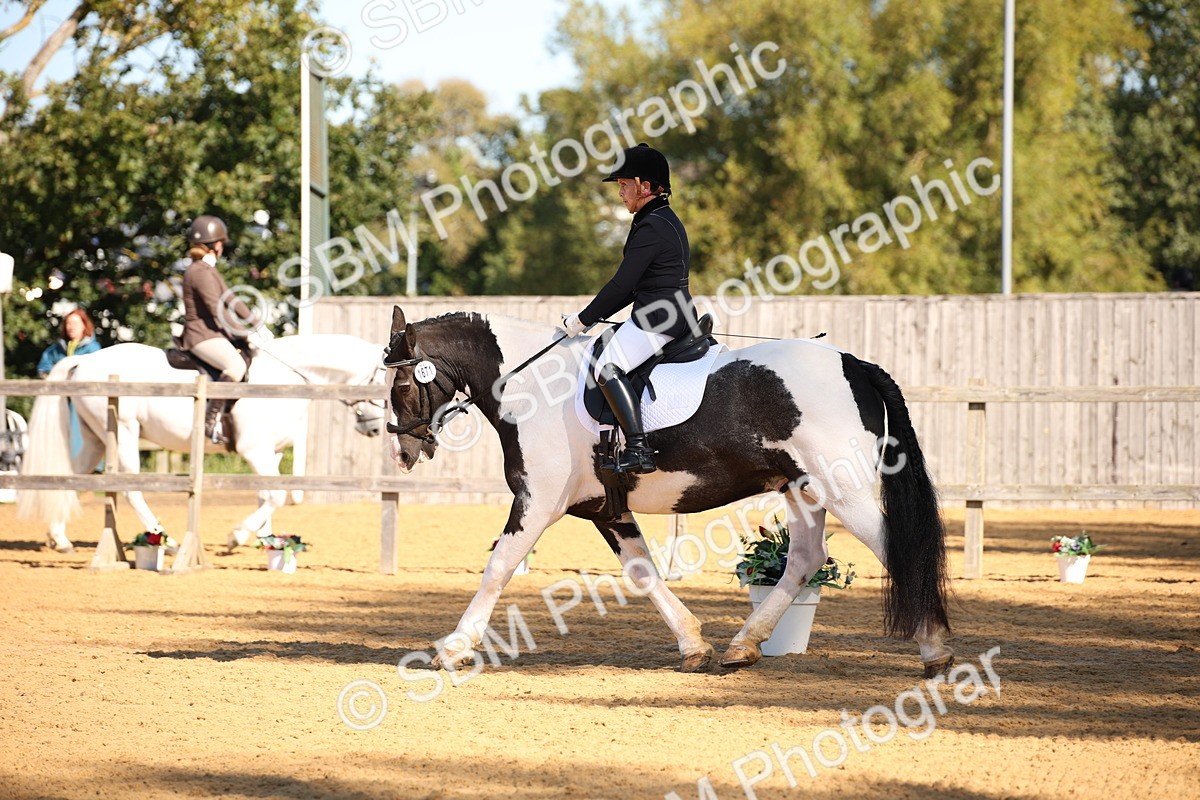 SBM_18458 - D31 - Grand Tour - PYO Open