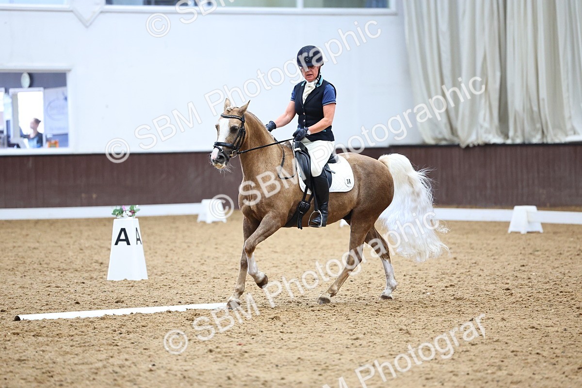 SBM_005586 - Elementary 2