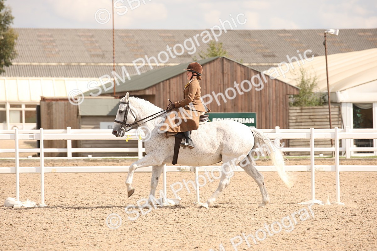 SBM_06728 - Class 24 Concours d'elegance