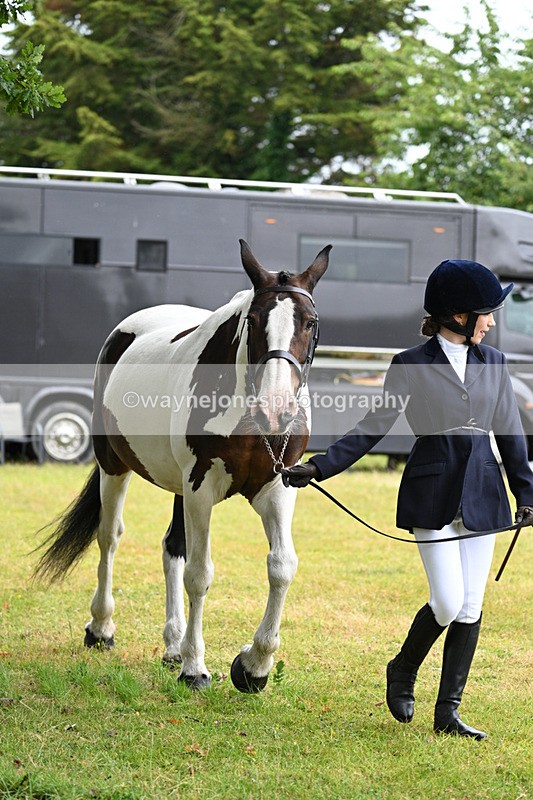 WJ7_6133 - Class 4a Prettiest Mare over 14hh