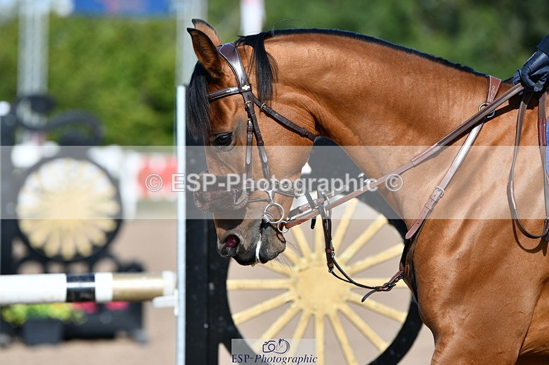 240913A-105557-03581 - Cls 21 Snr Discovery and 1m Open