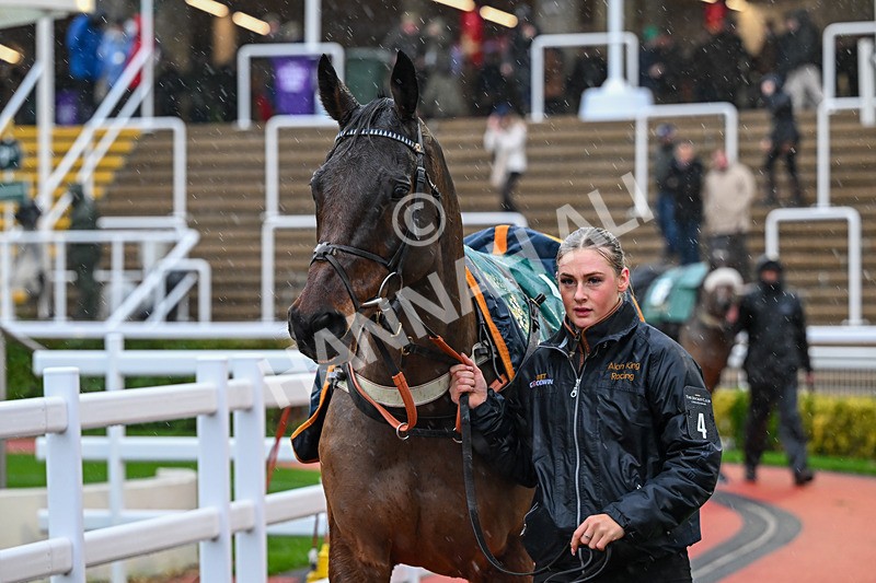 141125-Race 4-Edwardstone-0113 - Race 4
