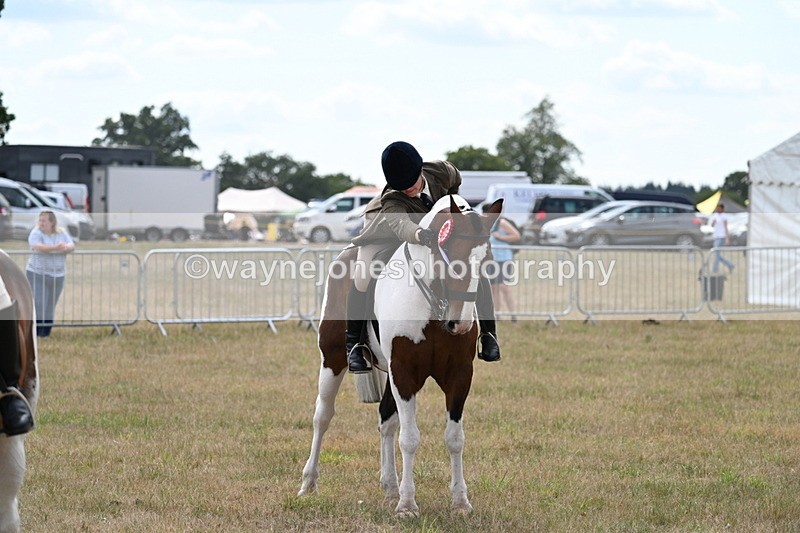 WJ7_5559 - Class 12 Ridden Cob
