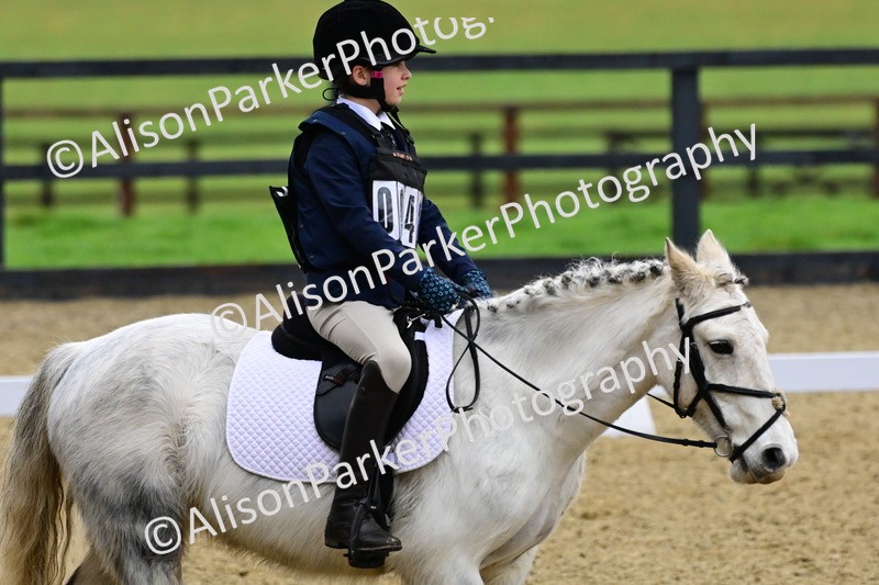 20260125-0539 - Class 9b - Walk Trot Unassisted